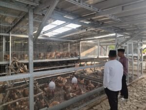 Rutan Mentok Gelar Pelatihan Peternakan Modern dan Ramah Lingkungan