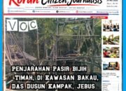 Hutan Bakau di DAS Dusun Kampak Dijarah Puluhan Unit TI Rajuk, Nama Indra dan Mul Mencuat